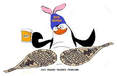 Edmonton SNASH